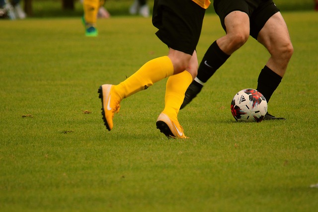 目的球隊主 目的球隊主